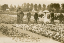 Bezoek Koningspaar aan de Begoniavelden De Sommer, Hijfte, 1929
