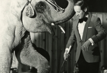 Circusact van Harry Malter met olifant Chamba en bok Mecky