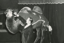 Circusact met kameel door Harry Malter