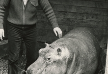 Harry Malter met nijlpaard Max
