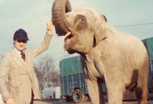 Harry Malter met olifant tussen de beestenwagens
