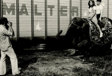Twee kinderen op een olifant 