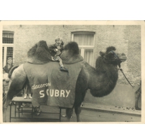 Schepen Christine De Pus als 7-jarige op de kameel van Soubry in de gemeenteschool van Oudegem, 1966