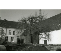Binnenkoer met zicht op het woonhuis en de stokerij Van Damme, Balegem, 1980 