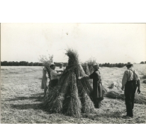 Christine Lampaert, André Van Hecke, Bliki Césaer en Marguerite Van Hecke, film “Ouden Balegemsen” (van Roger Van Brakel), 1978. 