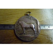 Bronzen medaille ter herinnering aan deelname paardenkeuring, Melle, 1932