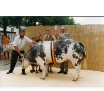 Winnend koeienras, Zomerjaarmarkt, Sint-Lievens-Houtem, 2001
