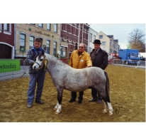 Winnaar paardenkeuring, Sint-Lievens-Houtem, jaren 1990