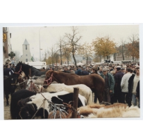 Paarden en pony&#039;s op Houtem Jaarmarkt, Sint-Lievens-Houtem, 1995