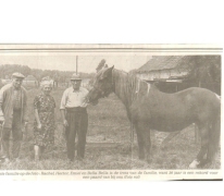 Het oudste paard van Landskouter Bella, Landskouter, 1976
