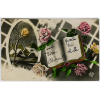 Kleurpostkaart  uit 1931