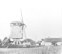 Molen Uilebroek Vlierzele