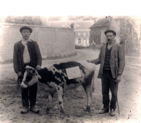 Wapenstilstand 11 november, Sint-Lievens-Houtem, 1918