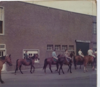 Sint-Fledericusommegang met paarden, Vlierzele, 1977
