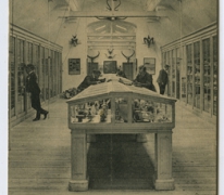 Natuurhistorisch museum van het College te Melle in 1907