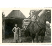 Transport per paard en kar, Balegem, 1952