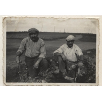 Seizoenarbeiders op het veld in Frankrijk, 1936-1937
