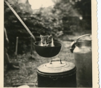 Kitten op chirokamp, Neerpelt, 1954