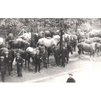 Paardenmarkt, Merelbeke, 1918