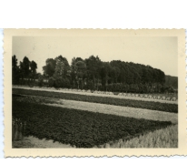 Oogst, drogend koren op de &#039;kouter&#039;, Landskouter