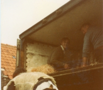 Transport van clivia&#039;s, Melle, 1985