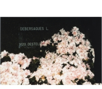 Bloemisterij Debersaques op Gentse Floraliën, Destelbergen, 1990