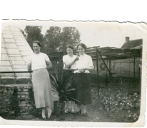 Familie Puimège op de bloemisterij, Zaffelare, 1930-1947