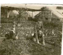 Kinderen tussen de bloemenperken, Zaffelare, 1930-1947