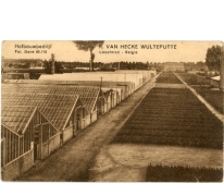 Postkaart bloemisterij Van Hecke - Wulteputte, Lochristi, 1940-1950