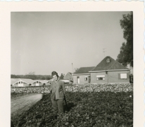 Georgette Collin begiet de begonia&#039;s, Destelbergen, eind jaren 1960