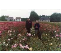 Arthur De Neve en echtgenote tussen rozenstruiken, Oosterzele, eind jaren 1970
