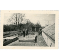 Serre boomkwekerij De Moor, Oosterzele, jaren 1940-1950
