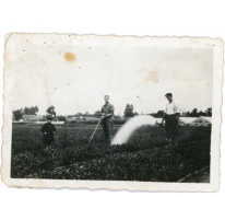 Water gieten op bloemisterij De Vos, Lochristi, 1928-1929
