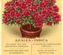 Visitekaartje bedrijf Adolf Van Hecke, Zaffelare, 1930-1940
