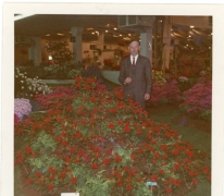 René Van Hecke op Floraliën, Gent, jaren 1960
