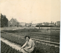 Rachel Braeckman tussen de azalea&#039;s, Heusden, jaren 1950
