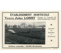 Advertentie van bloemisterij Lossy, Destelbergen, jaren 1920
