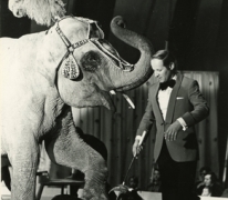 Circusact van Harry Malter met olifant Chamba en bok Mecky