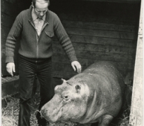 Harry Malter met nijlpaard Max