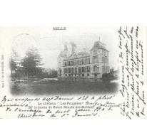 MELLE / Le château "Les Fougères" / (Mr le baron de Saint Génois des Mottes)