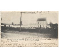 MELLE-lez-GAND / Etablissement horticole de Guillaume Gyselinck