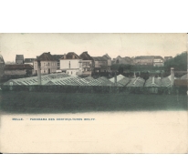 MELLE. - PANORAMA DES HORTICULTURES WOLFF.