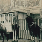 Joseph Tondeurs en zijn paarden, Sint-Lievens-Houtem, 1928