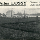 Advertentie van bloemisterij Lossy, Destelbergen, jaren 1920
